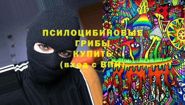 дживик Верхний Тагил